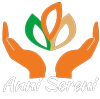 Logo RSA Anni Sereni